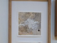 Susanne Neusinger (4)